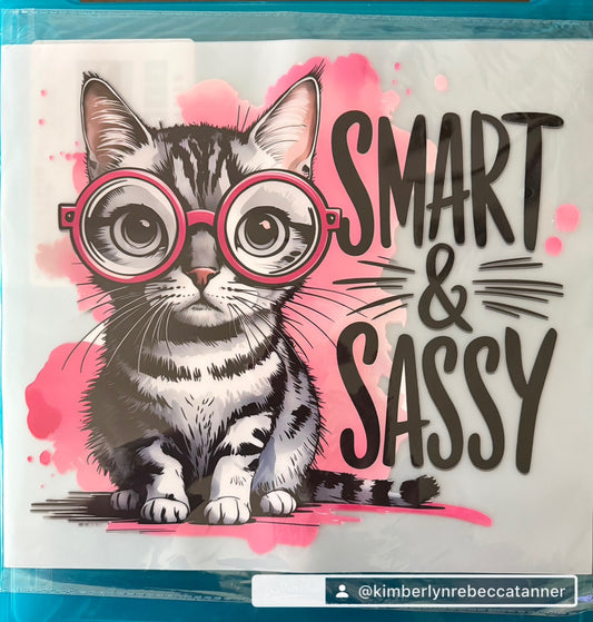 Smart & Sassy Kitten